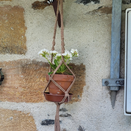 JUNE - Suspension plante macramé Muscade