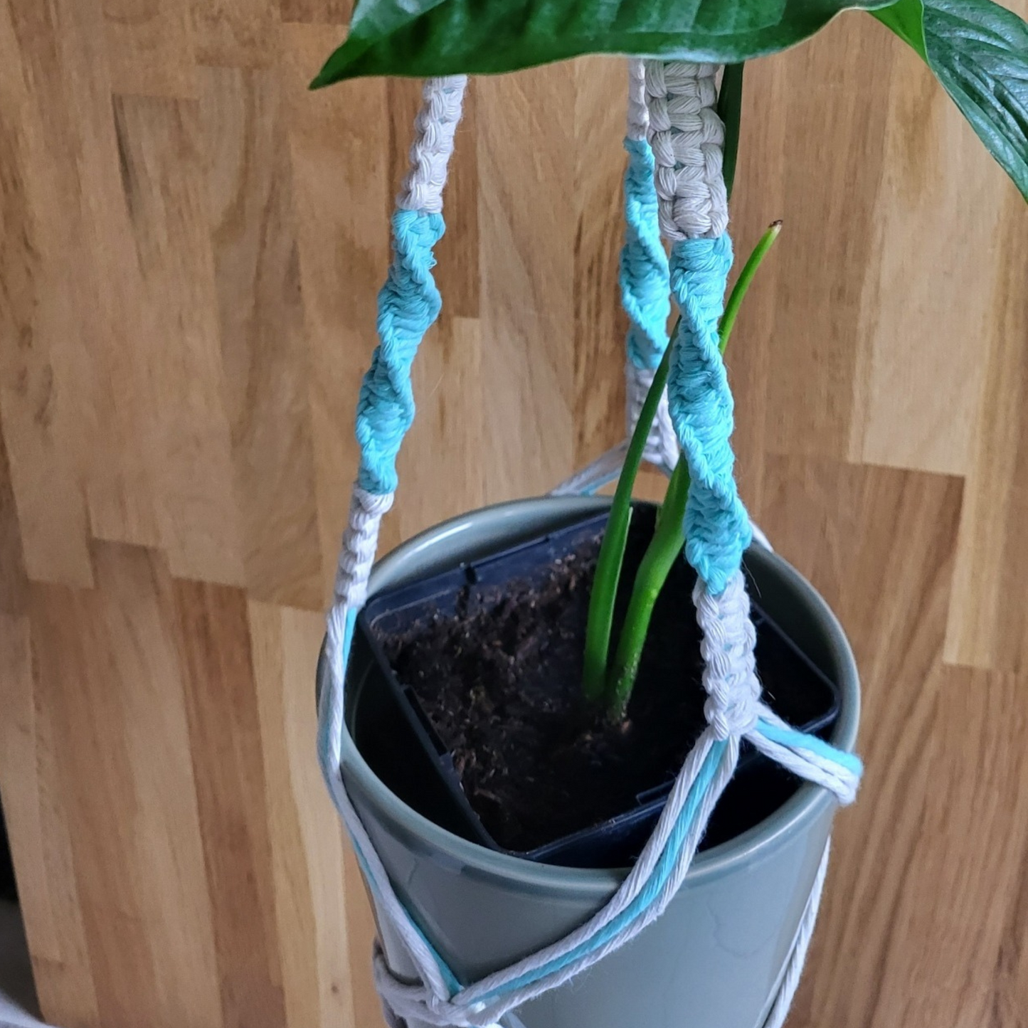JUNE - Suspension plante PERSONNALISABLE